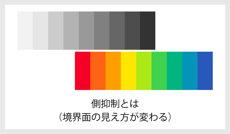 側抑制とは･･･